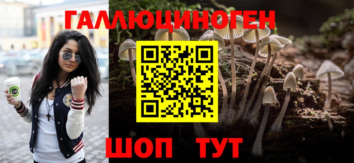Галлюциногенные грибы Psilocybine cubensis Медногорск